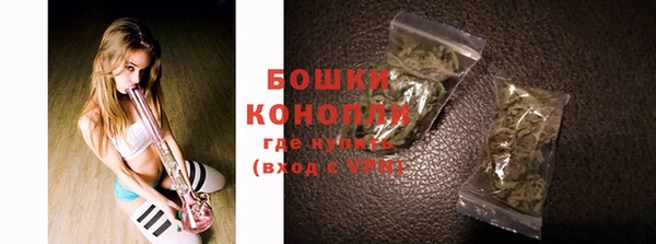 дживик Кинешма