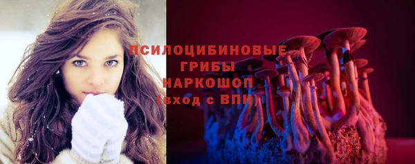 дживик Кинешма
