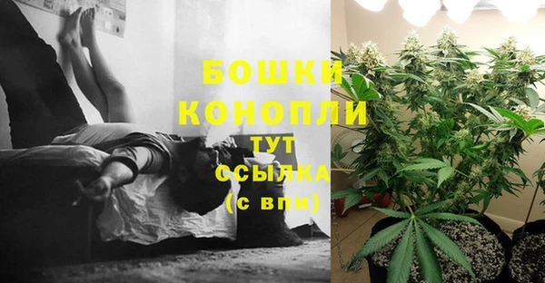 дживик Кинешма