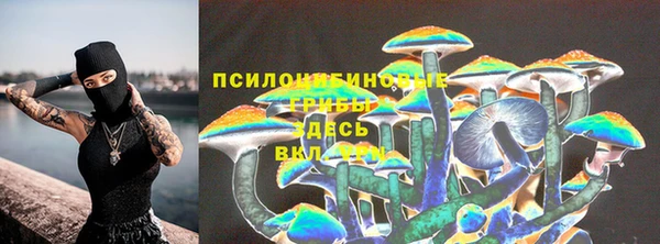 дживик Кинешма
